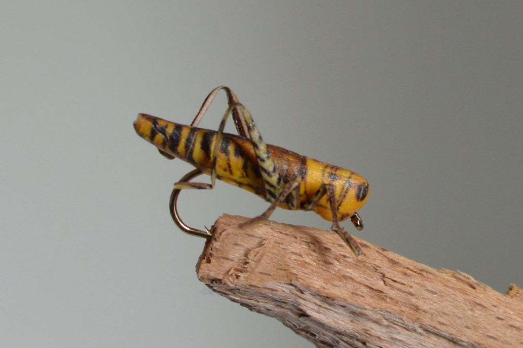 True Hopper Yellow/Brown