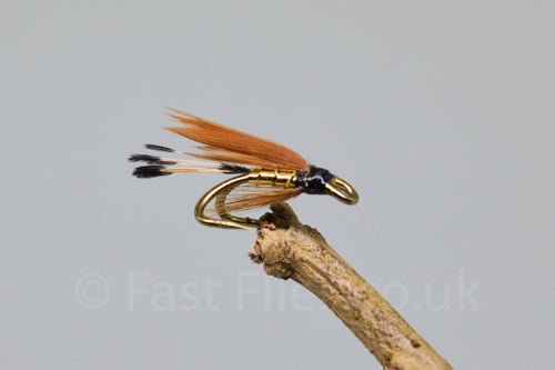 Cinnamon & Gold - Fast Flies top trout flies