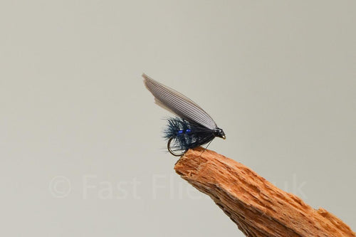 Blue Bottle x 3  (Barbed)