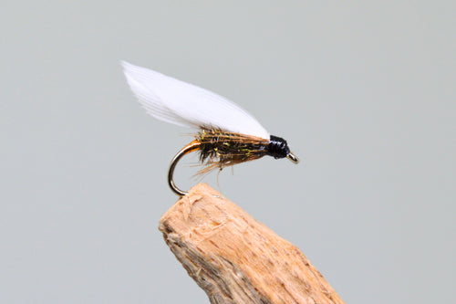 Coachman x 3  (Barbed)