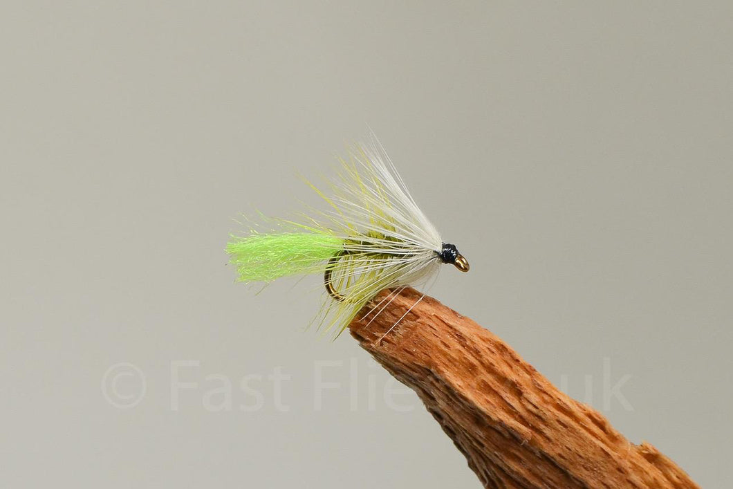 Hugos Olive x 3  (Barbed)