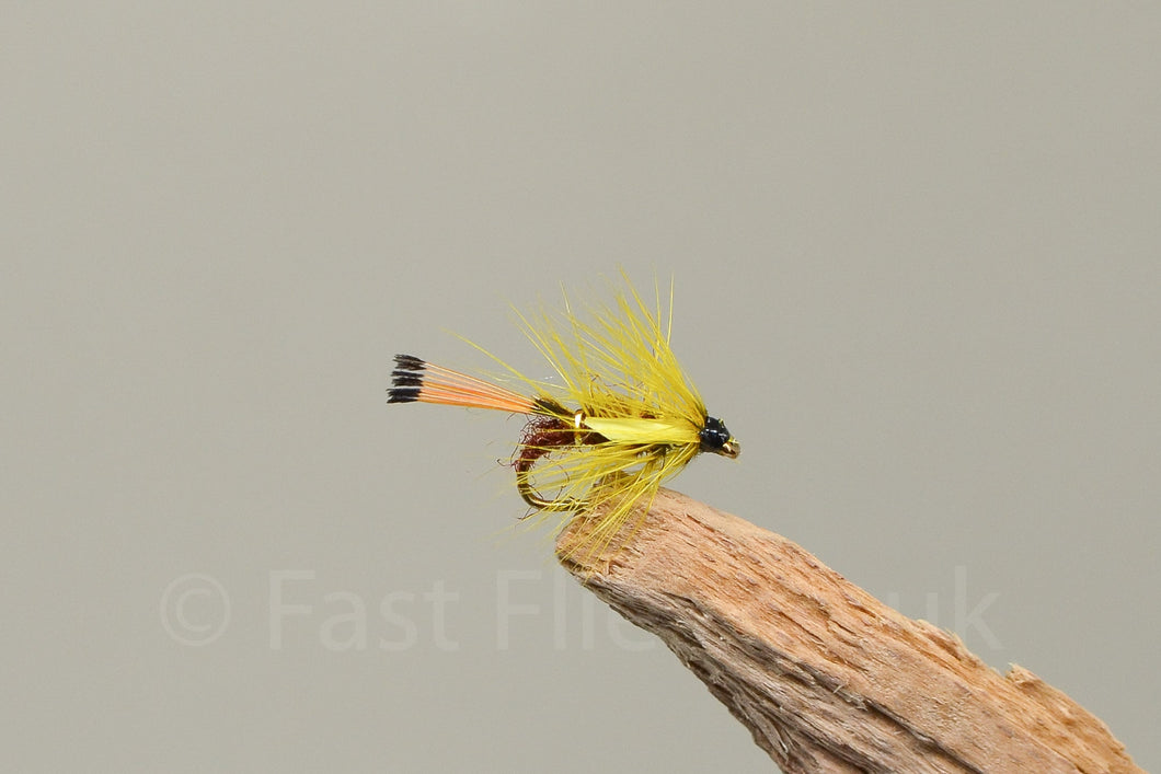 Copper Top x 3  (Barbed)