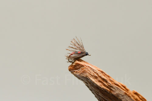 Blood Spot Spider x 3  (Barbed)