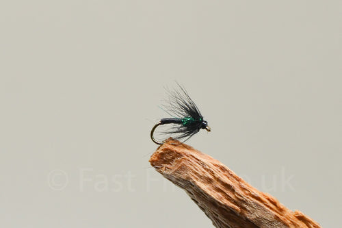 Green Spot Spider x 3  (Barbed)