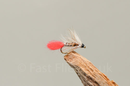 Charlie Maclean x 3  (Barbed)