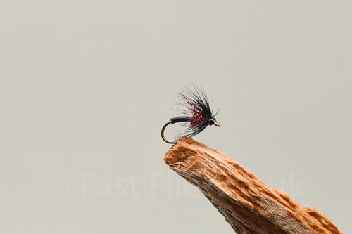 Red Spot Spider x 3  (Barbed)