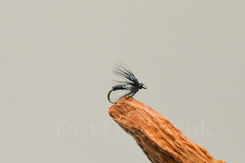 Pearl Spot Spider x 3  (Barbed)