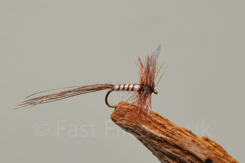 Spent May fly x 3  (Barbed)