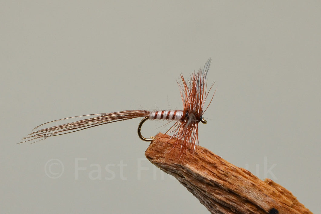 Spent May fly x 3  (Barbed)