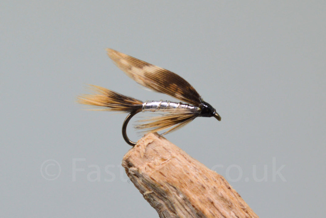 Silver March Brown x 3 - Fast Flies top trout flies