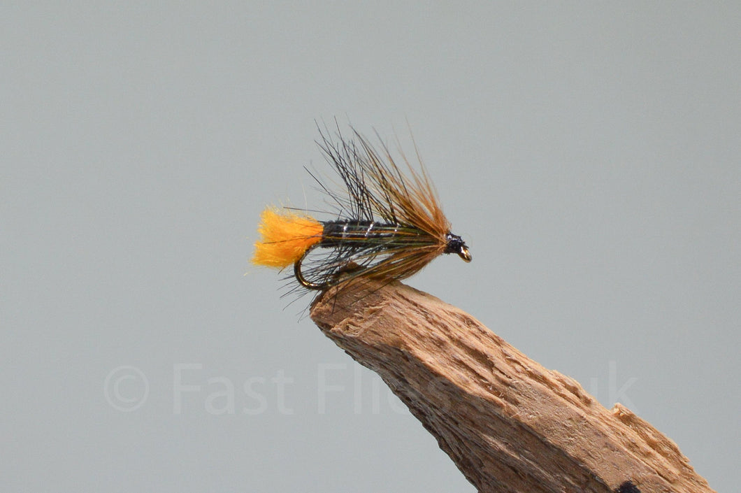 Sunburst Kate x 3   (Barbed or Barbless)