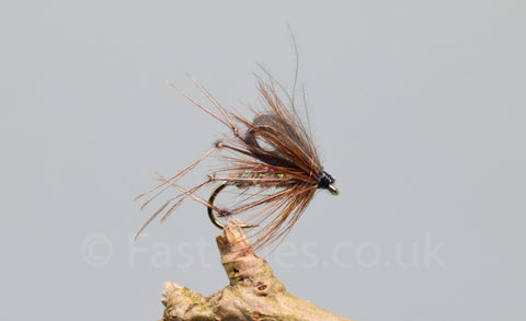 CDC Hares Ear Bristol Hoppers x 3 - Fast Flies top trout flies