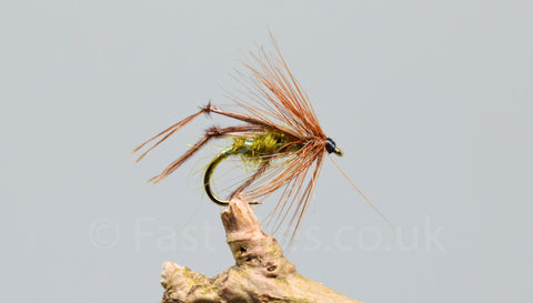 Olive Bristol Hoppers x 3 - Fast Flies top trout flies