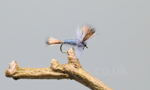 Grey Wulff x 3 - Fast Flies top trout flies