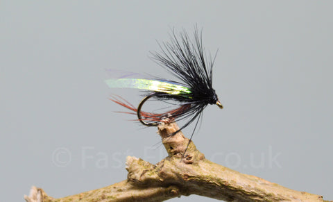 Sparkle Wing Heather x 3 - Fast Flies top trout flies