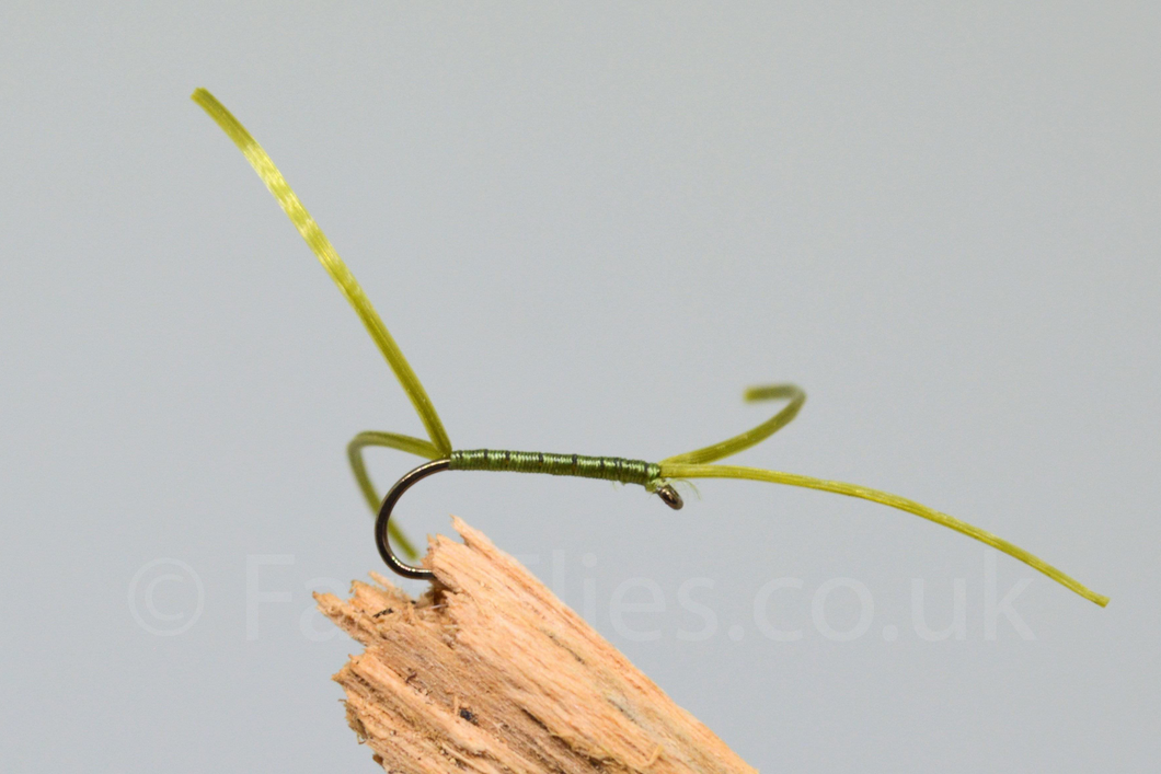 Olive Flexi Floss Bloodworm x 3 - Fast Flies top trout flies