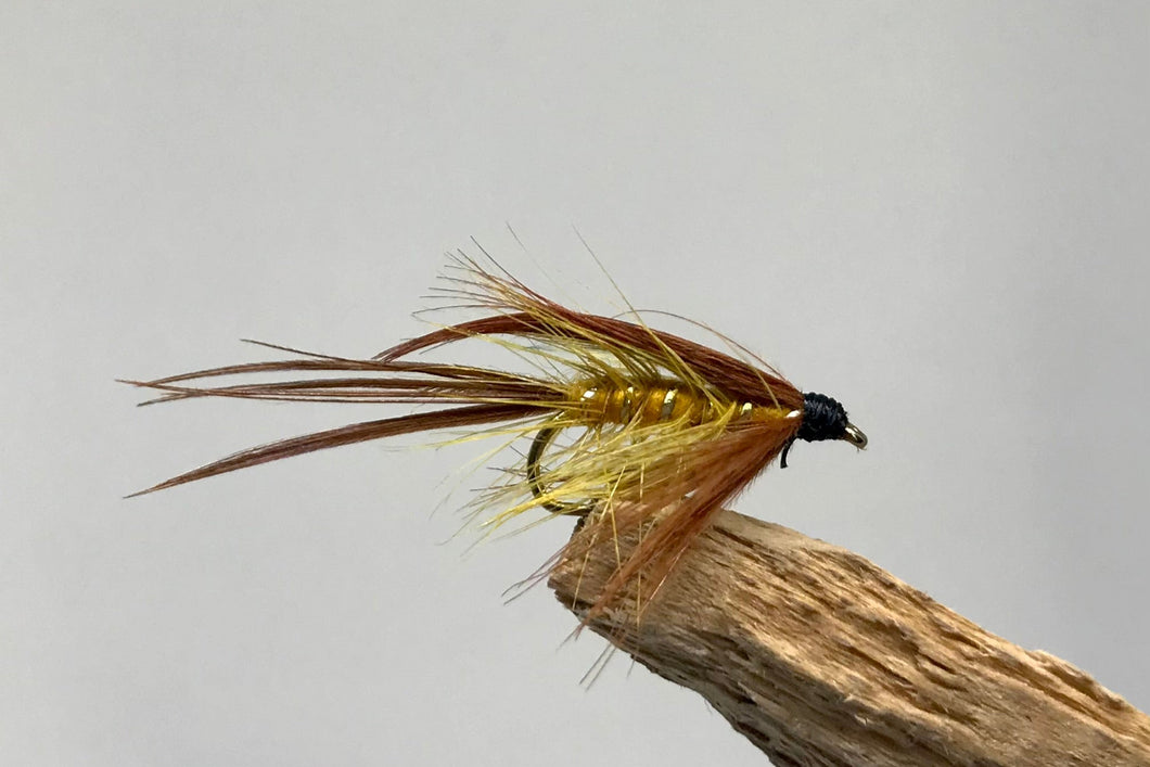 Sunburst Kate Dabbler x 3  (Barbed)